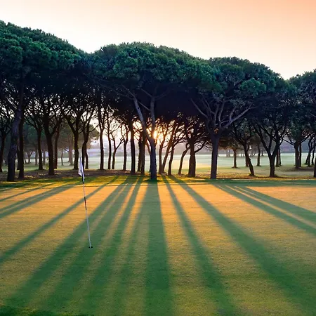 En Golf Platja De *
